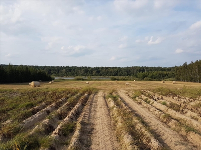 Działka na sprzedaż, Poznański, Stęszew gm, Wielka Wieś