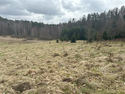 Działka rolna Bieszkowice