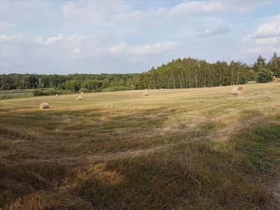 Działka rolna Stęszew