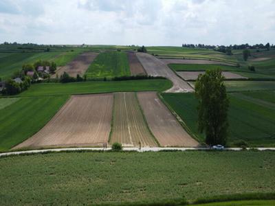 Działki rolne 2,52 ha, Zielenice, gm. Radziemice, małopolskie