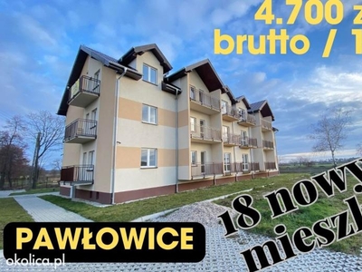 atrakcyjny domek - DOMINICE/Boszkowo -nad jeziorem