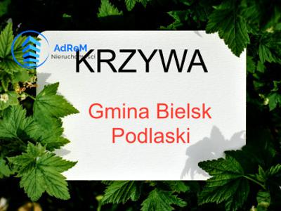 Działka rolna Krzywa