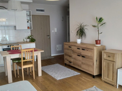 Apartament, ul. Kręta