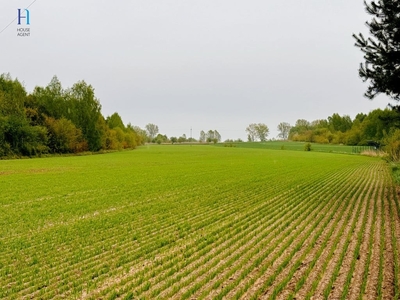 Działka budowlana Tuszyn, ul. Niedas Trzciniec