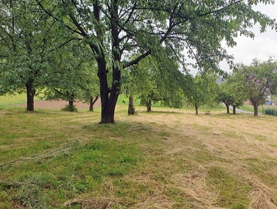 Działka siedliskowa Karniowice