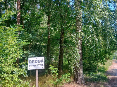 Grójecki, Pniewy, Kocerany, Akacjowa