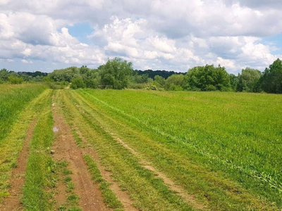 Działka budowlana o pow. 11,3 ar