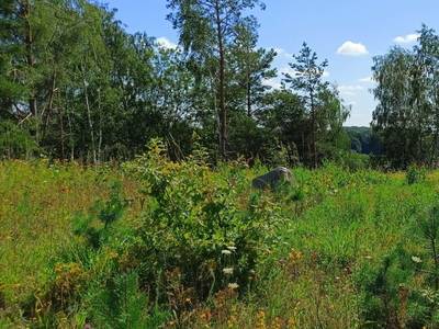 Kartuski, Żukowo, Łapino Kartuskie, Narcyzowa