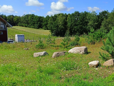 Kartuski, Żukowo, Łapino Kartuskie, Narcyzowa