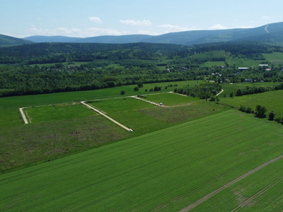 Lubański, Świeradów-Zdrój, Jarzębinowa