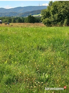 Przepiekna działka widokowa w górach bieszczady