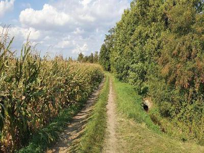 Działki pod Szeregi/Bliźniaki/Wolnostojące