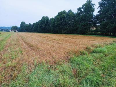 Działka rolna Bącz gm. Sierakowice - blisko jezioro