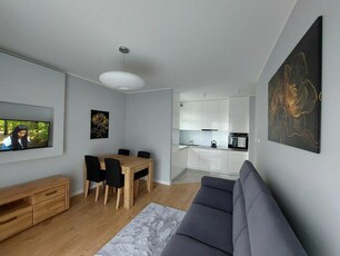 Do wynajęcia 3 pok. apartament Barwinek Kielce