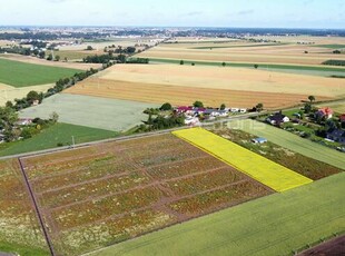 Działka budowlana Tarnowo Podgórne, Brzeźno