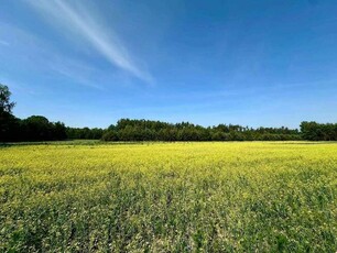 Działka na sprzedaż - Dąbrówka Wyłazy, 1168m²