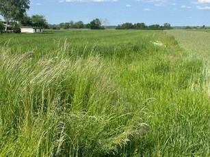 Działka na sprzedaż - Grabowica, gm. Pacanów