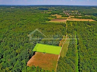 Działka rekreacyjna Uściąż gm. Karczmiska, Uściąż