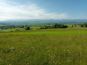 Działka rolna Odrowąż