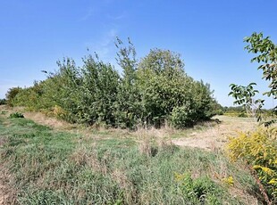 Działka rolno-budowlana Marysin