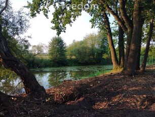 Działka nad Pilicą, Niemojowice.