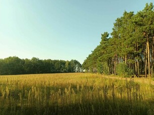 Sprzedam działkę budowlaną- Kościelec, gmina Mycielin