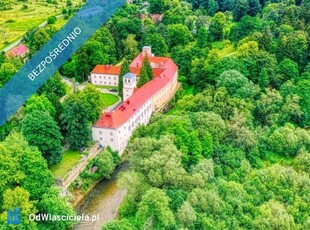 Sprzedam Hotel Zamek na skale