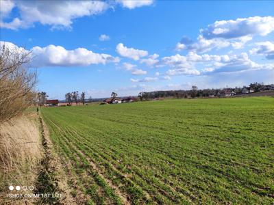 Działka na sprzedaż, Brodnicki, Karbowo