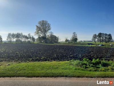 Działka o powierzchni 6000 m2 z wydanymi WZ SZARÓW Poddębice