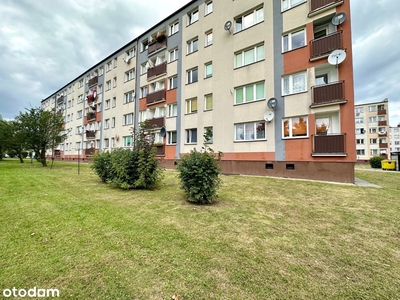 3-pokojowe mieszkanie 48m2 + balkon