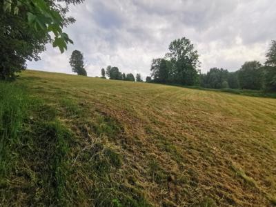 Brzegi Bukowina Tatrzańska Tatrzański Małopolskie Biuro Nieruchomości