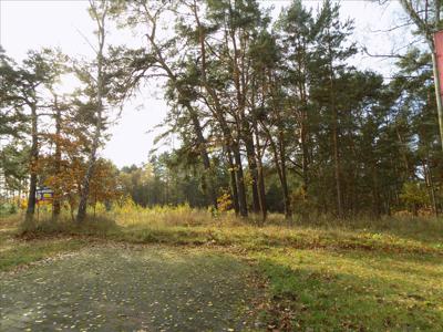 Działka na sprzedaż, Szczecinecki, Borne Sulinowo gm, Borne Sulinowo