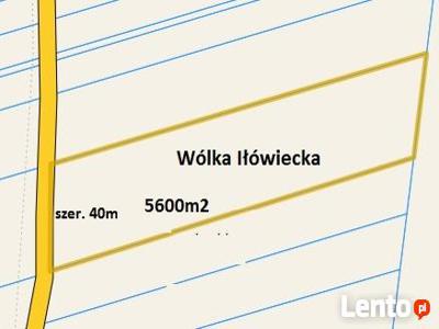 Działka budowlano-rolna, 5600m2, szer. 40m, Wólka