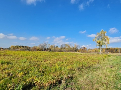 Działka budowlana Dąbrowa Górnicza Błędów, ul. Zagórze