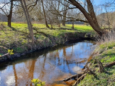 Działka inna Niechorze