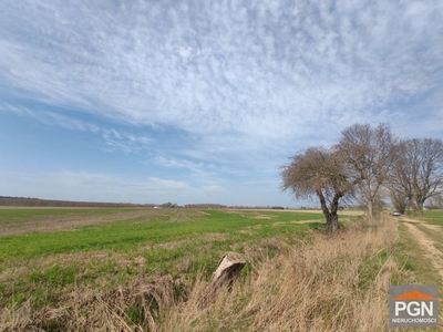 Działka inna Strzeżewo