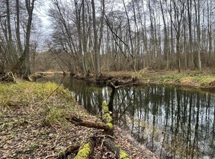 Działka na turystykę z dostępem do rzeki Płonia