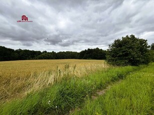 Doskonała lokalizacja i potencjał agroturystyczny!