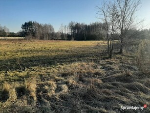 Duża działka z warunkami zabudowy Postękalice gm. Bełchatów