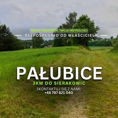 Działka Sierakowice - Pałubice, od właściciela, 108/3, przy lesie