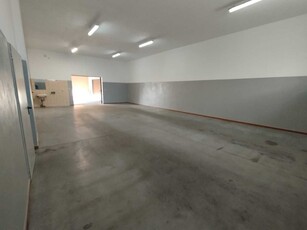 Hala magazynowa lub produkcyjna 110m2 + biuro 130m2