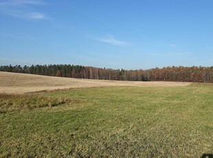 Sprzedam dużą działkę pod Olsztynem działka Nikielkowo