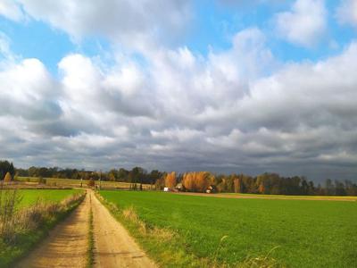 Duża działka z warunkami zabudowy