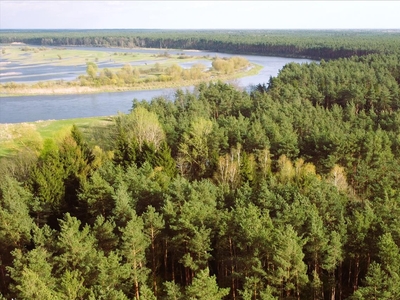 Dom na sprzedaż, Wyszkowski, Wyszków gm, Kamieńczyk