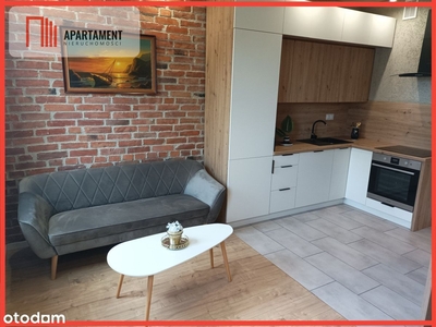 Luksusowy apartament, Inwestycyjne/Centrum