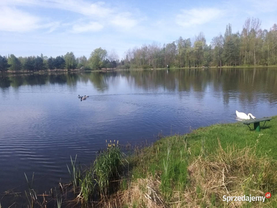 Sprzedam działkę rolną-widokowa nad stawem