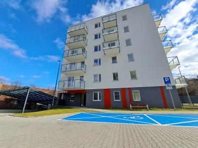 Apartament, ul. Kościuszki