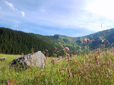 KOŚCIELISKO Mocarni, 62,05 m