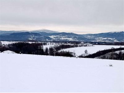 Działka budowlana Sprzedaż Lipowa, Polska