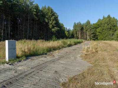 Las 30 letni z mozliwoscia budowy domu na dzialce